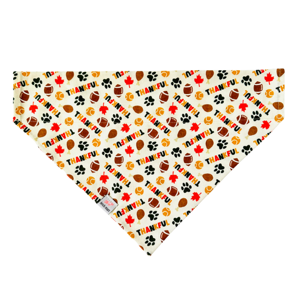 Thankful Bandana