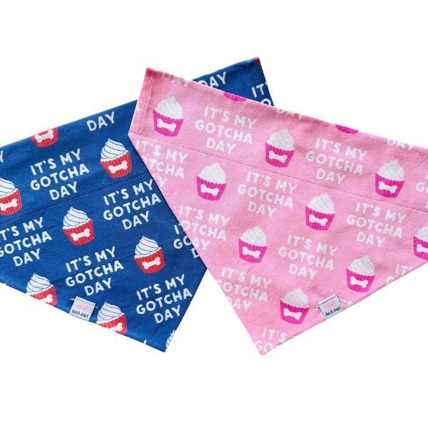 Gotcha Day in Blue & Pink Bandana