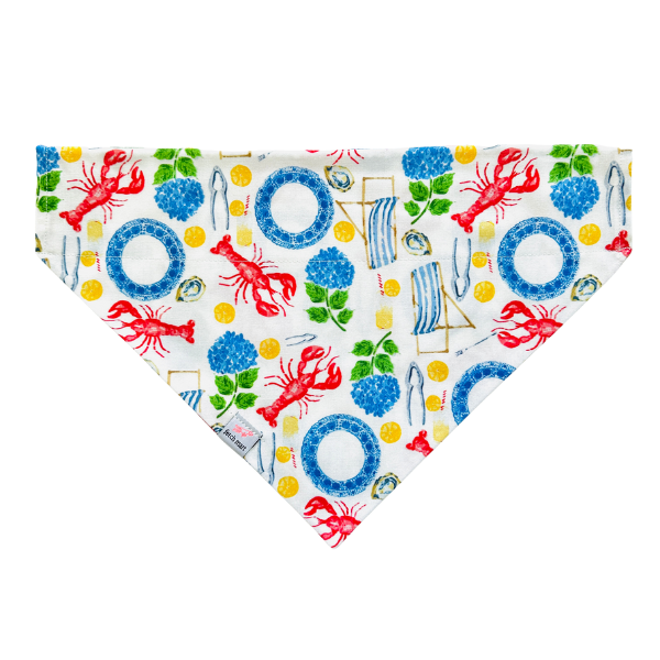 Nantucket Picnic Bandana