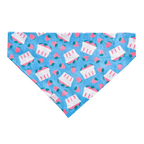 Bunch of Berries Bandana