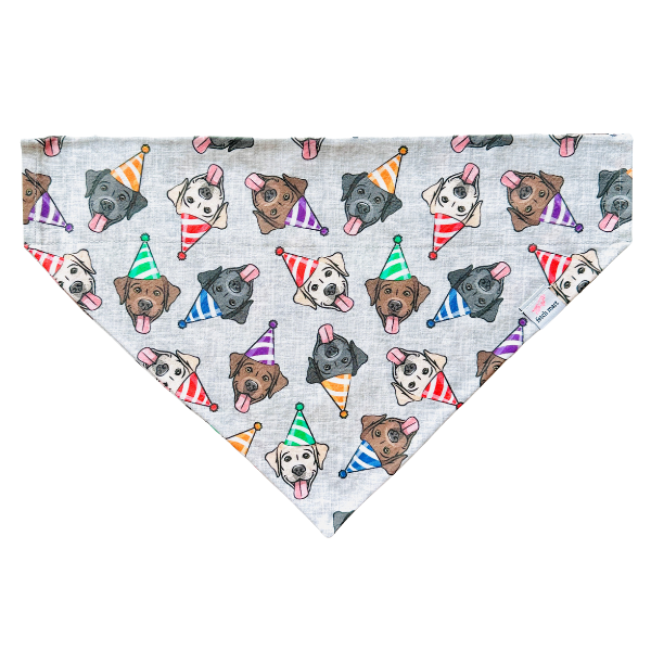 Celabrador Bandana