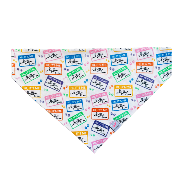 I'm the Problem It's Me (Fetch Mart's Version) Bandana