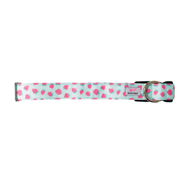 Strawberry Sorbet Collar