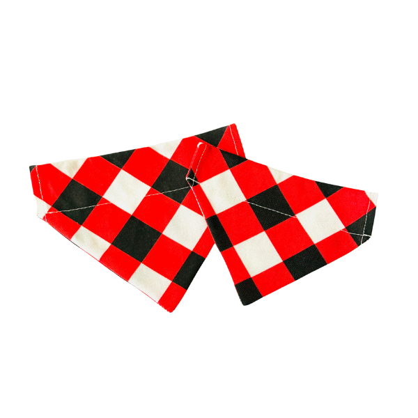 Georgia Gingham Bandana