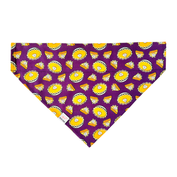 The Pumpkin of my Pies Bandana